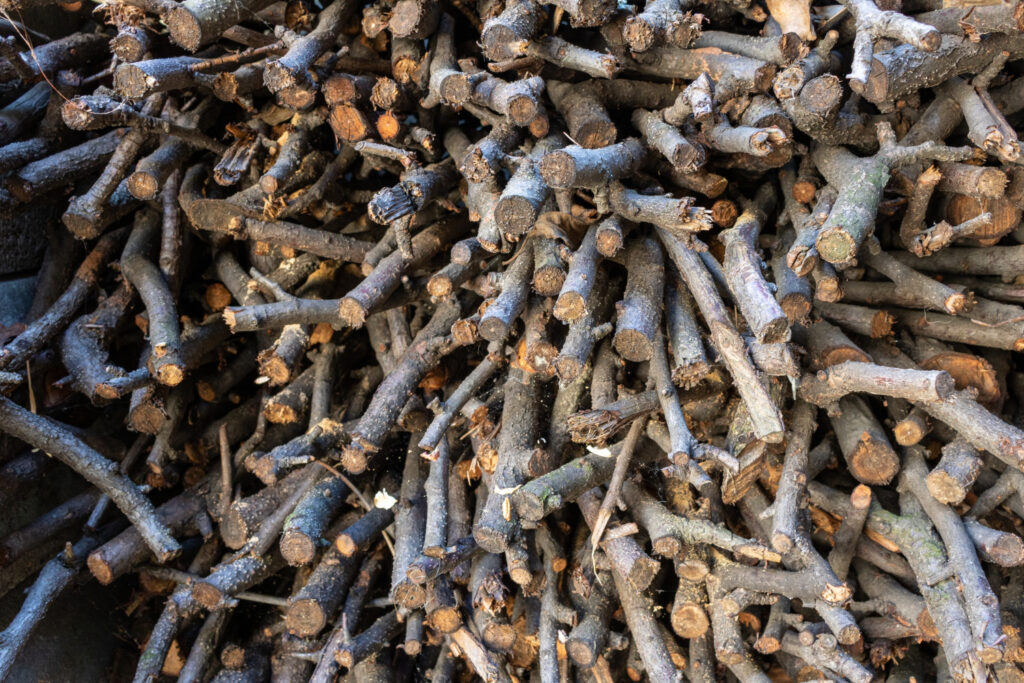 Vendita legna di quercia a Senago